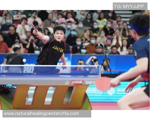 央视直播王楚钦与樊振东巅峰对决你准备好迎接精彩时刻了吗